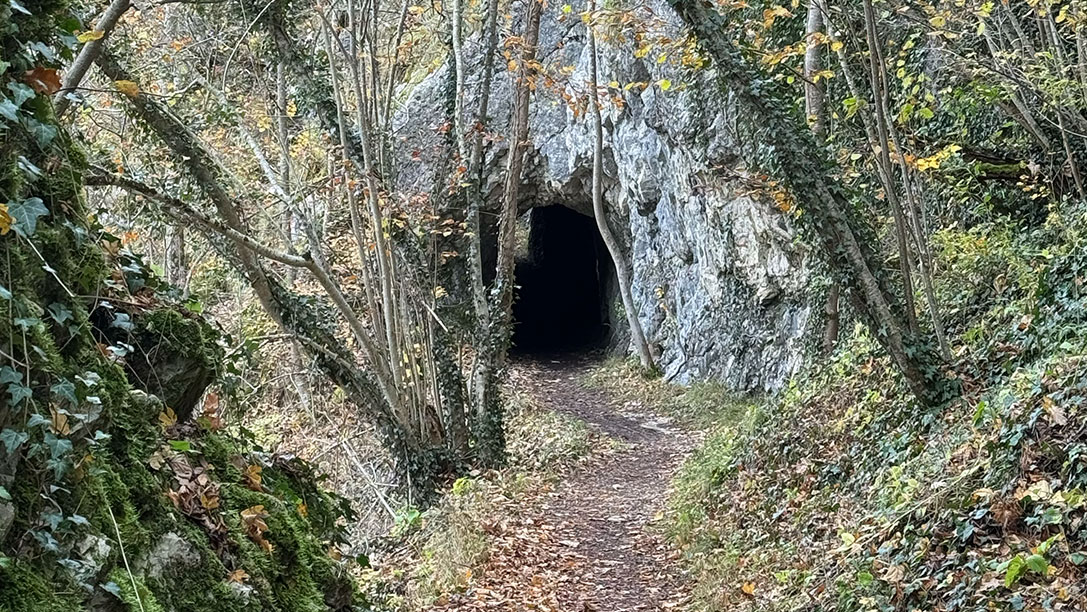 Psychotherapie in Stuttgart Ost